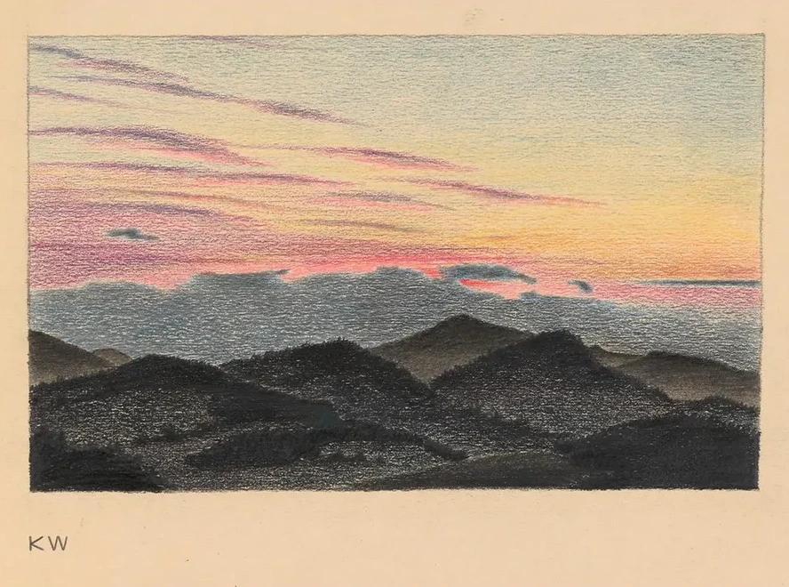 Ohne Titel (Naturstudie) I