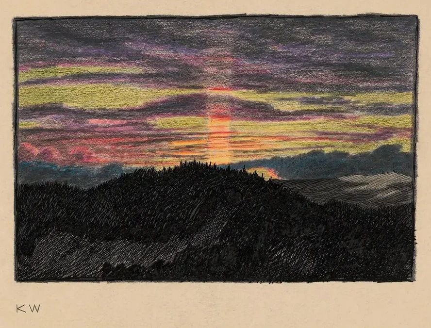 Ohne Titel (Naturstudie)