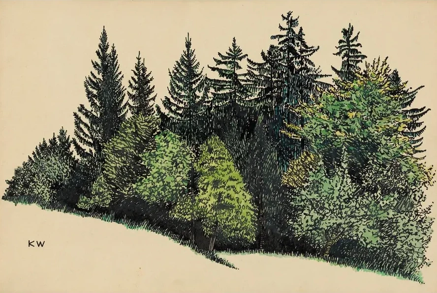 Ohne Titel (Waldst ck)