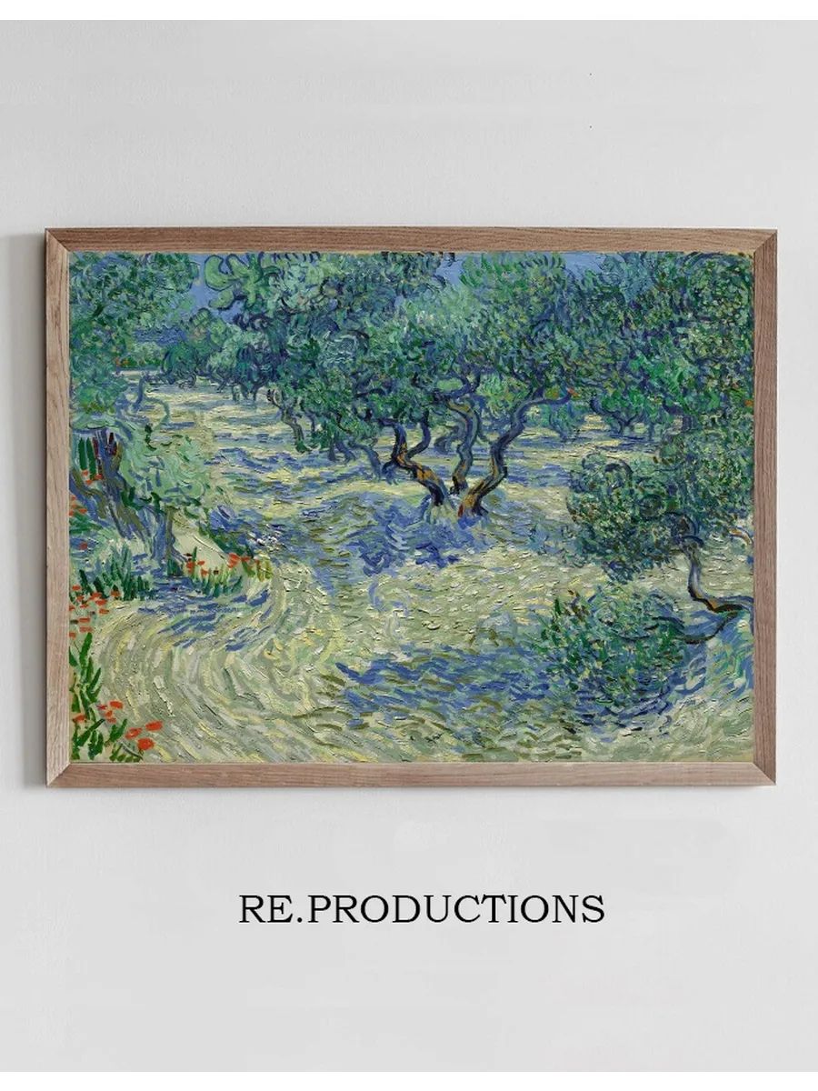 Olive Orchard