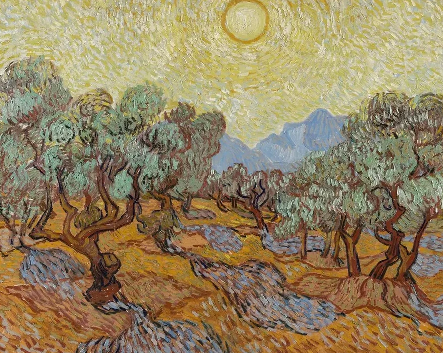 Olive Trees