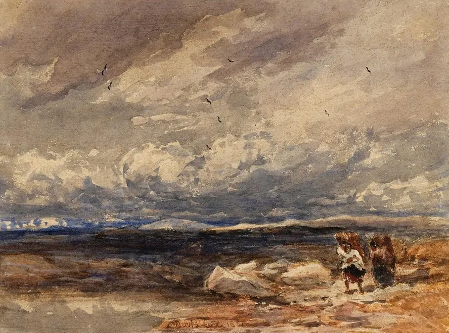 On Carrington Moss
