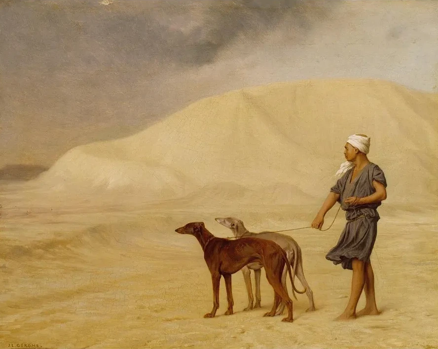 On the Desert