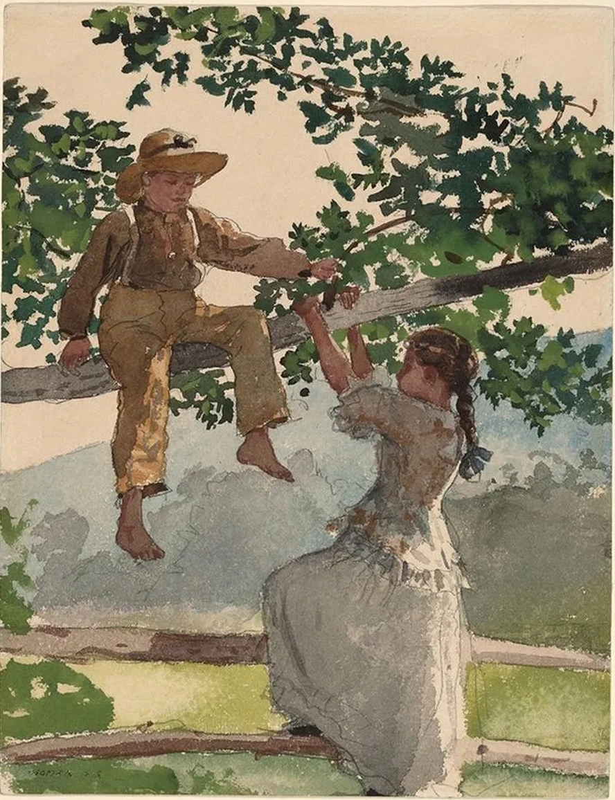 On the Fence