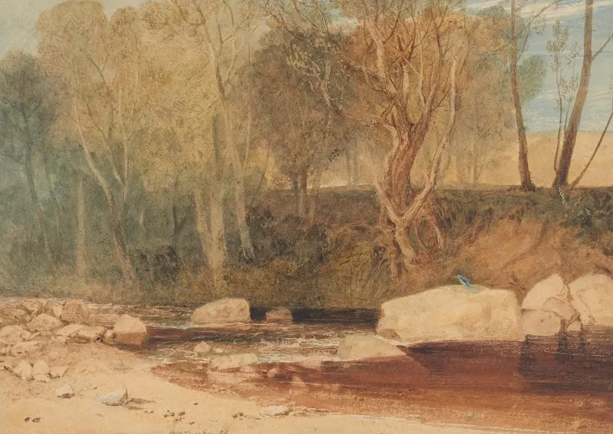 On the Washburn (2431414)
