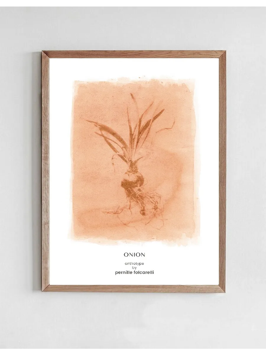 Onion Sienna