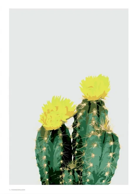 Opuntia Cactus