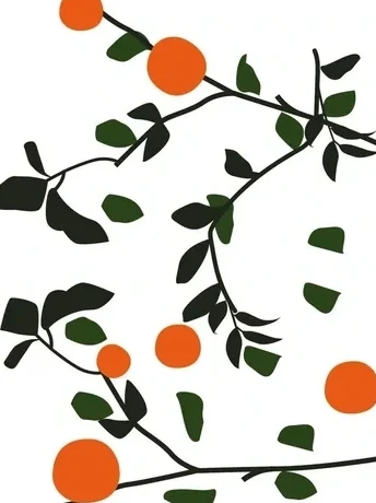 Orange Brunch