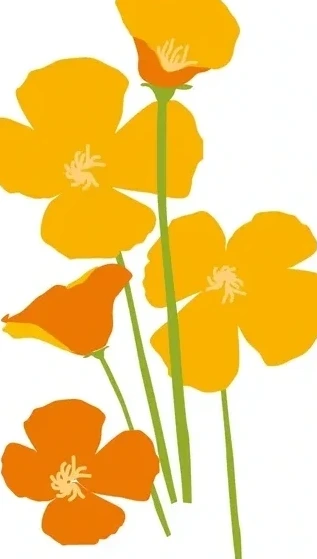 Orange Flowers