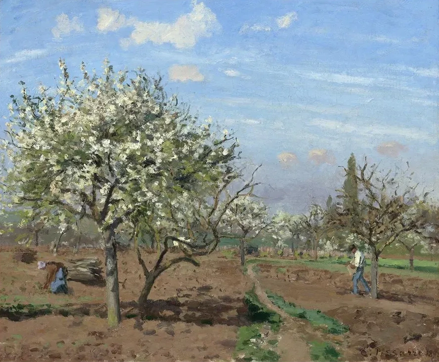 Orchard in Bloom,louveciennes