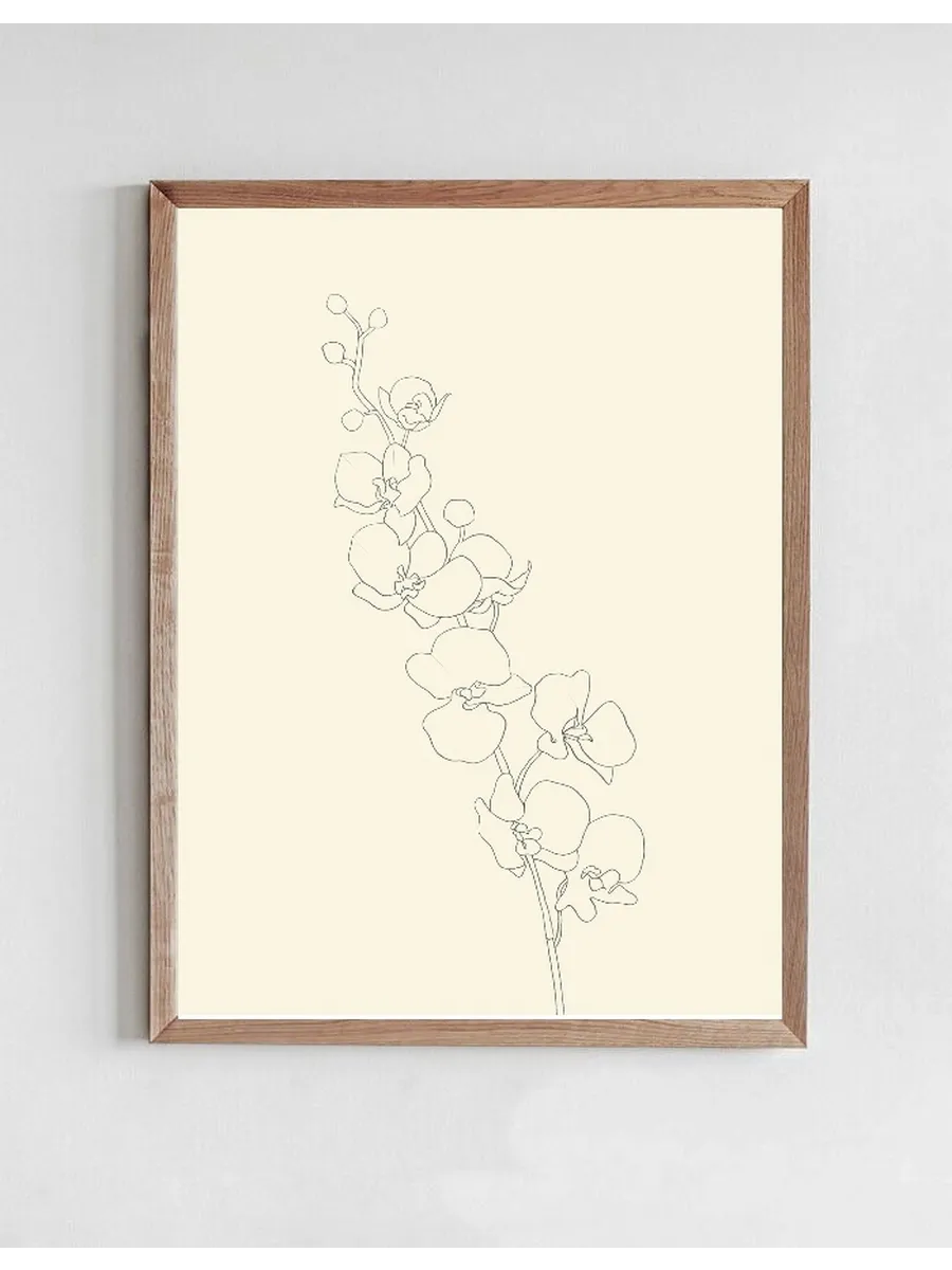 Orchid No 1