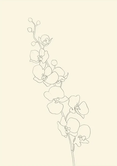 Orchid No 1