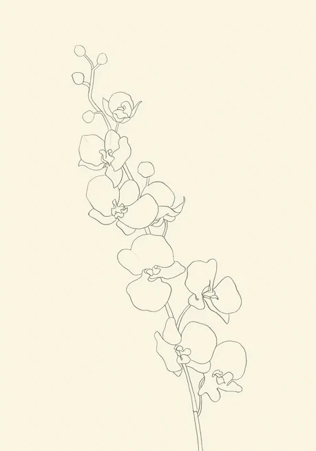 Orchid No 1
