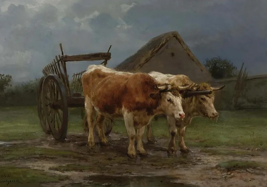 Oxen Pulling A Cart