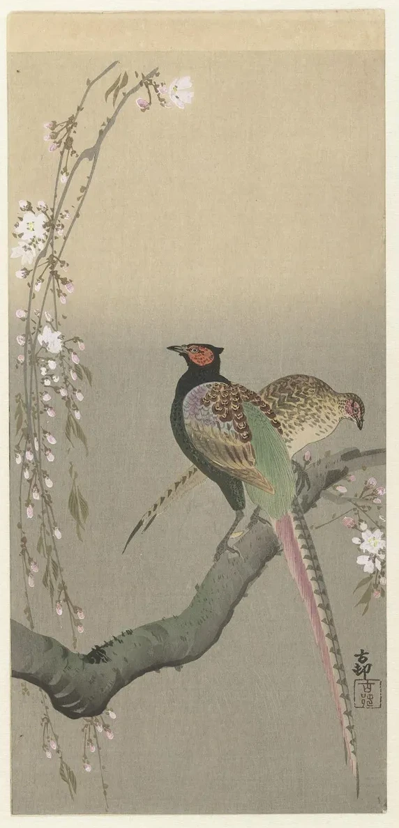 Pair of Pheasants and Cherry Blossom