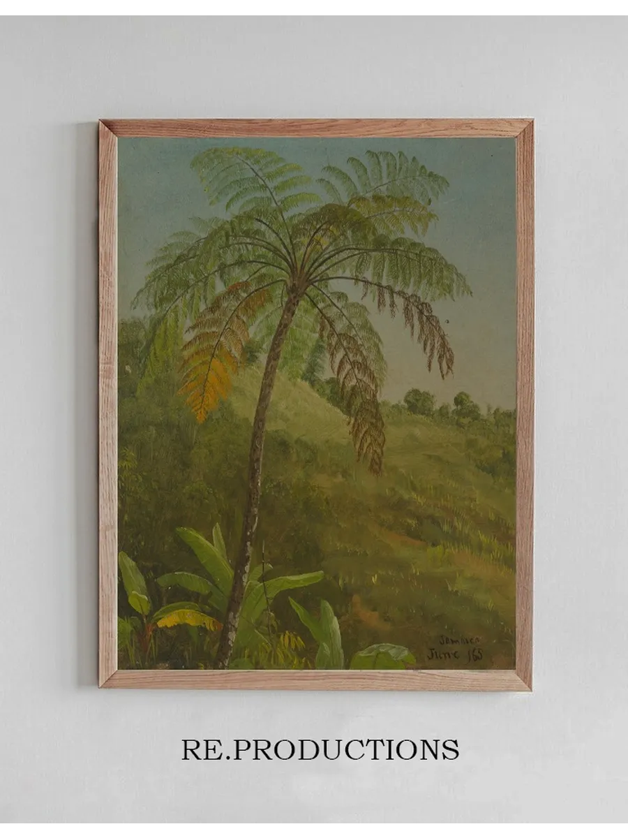 Palm Tree, Jamaica