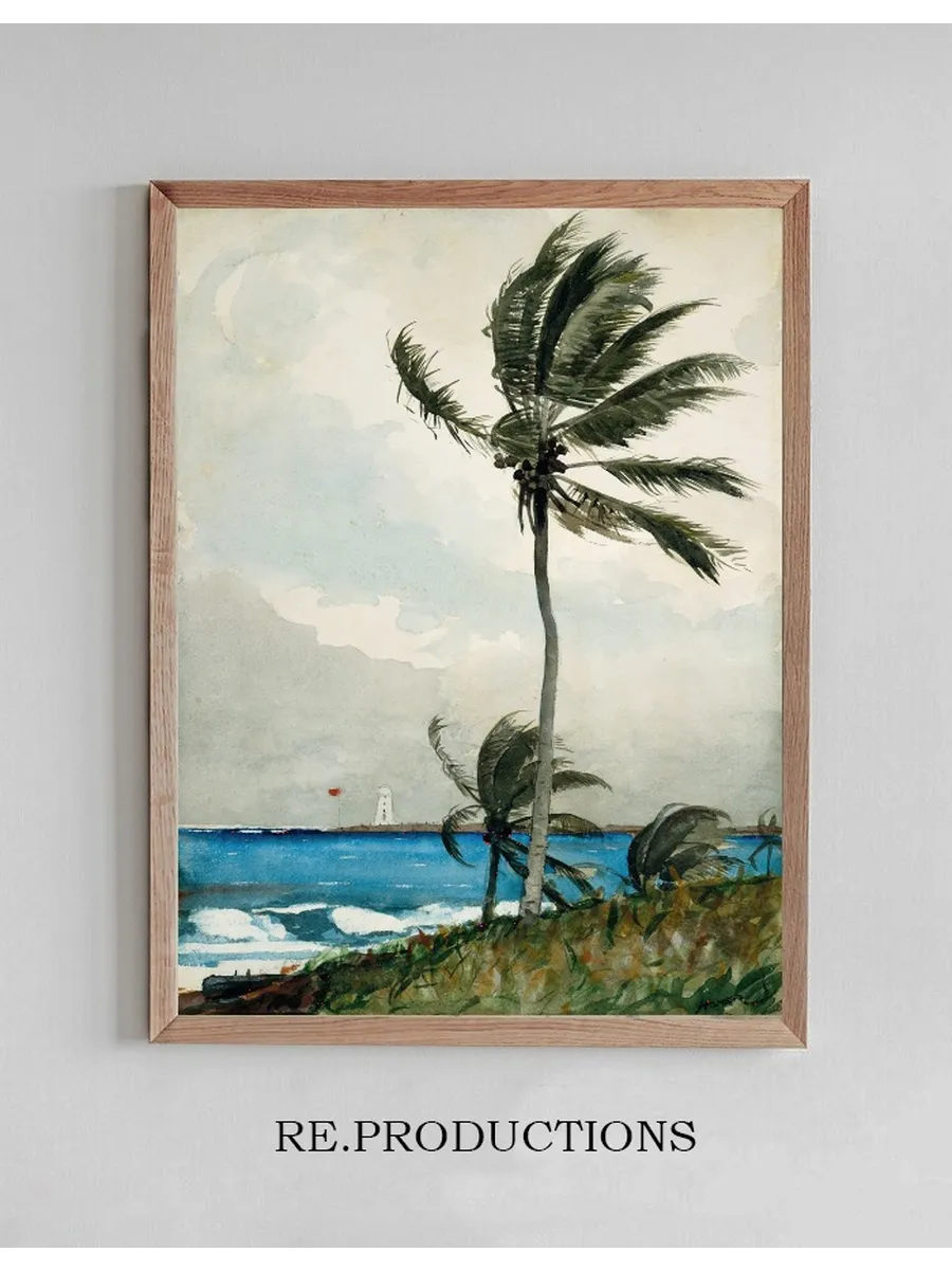 Palm Tree, Nassau