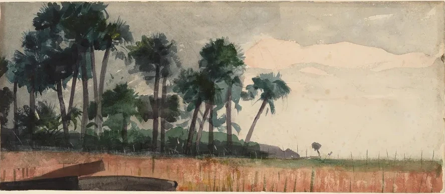 Palm Trees, Red