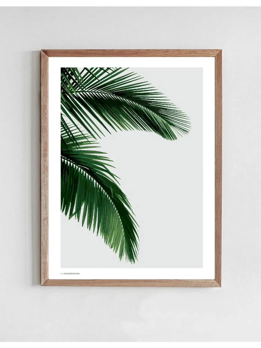 Palm