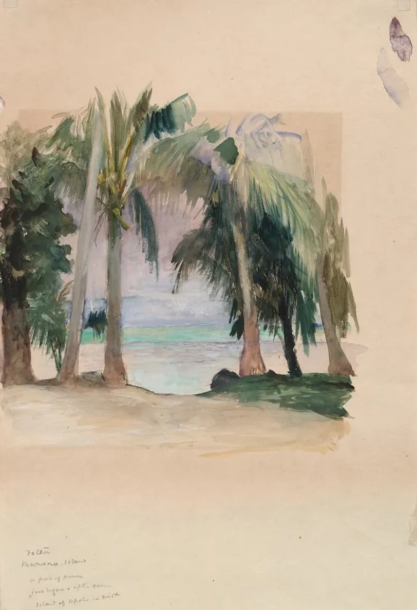Palms by theSea