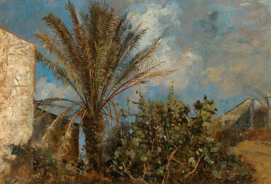 Palms in Corfu