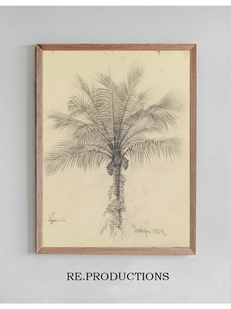 Palmstudie II