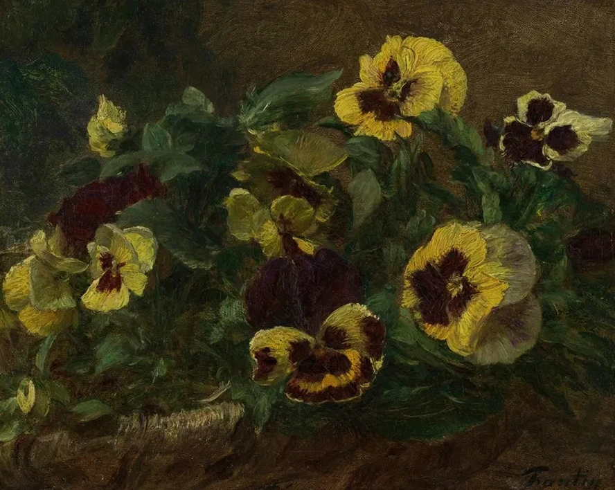 Pansies