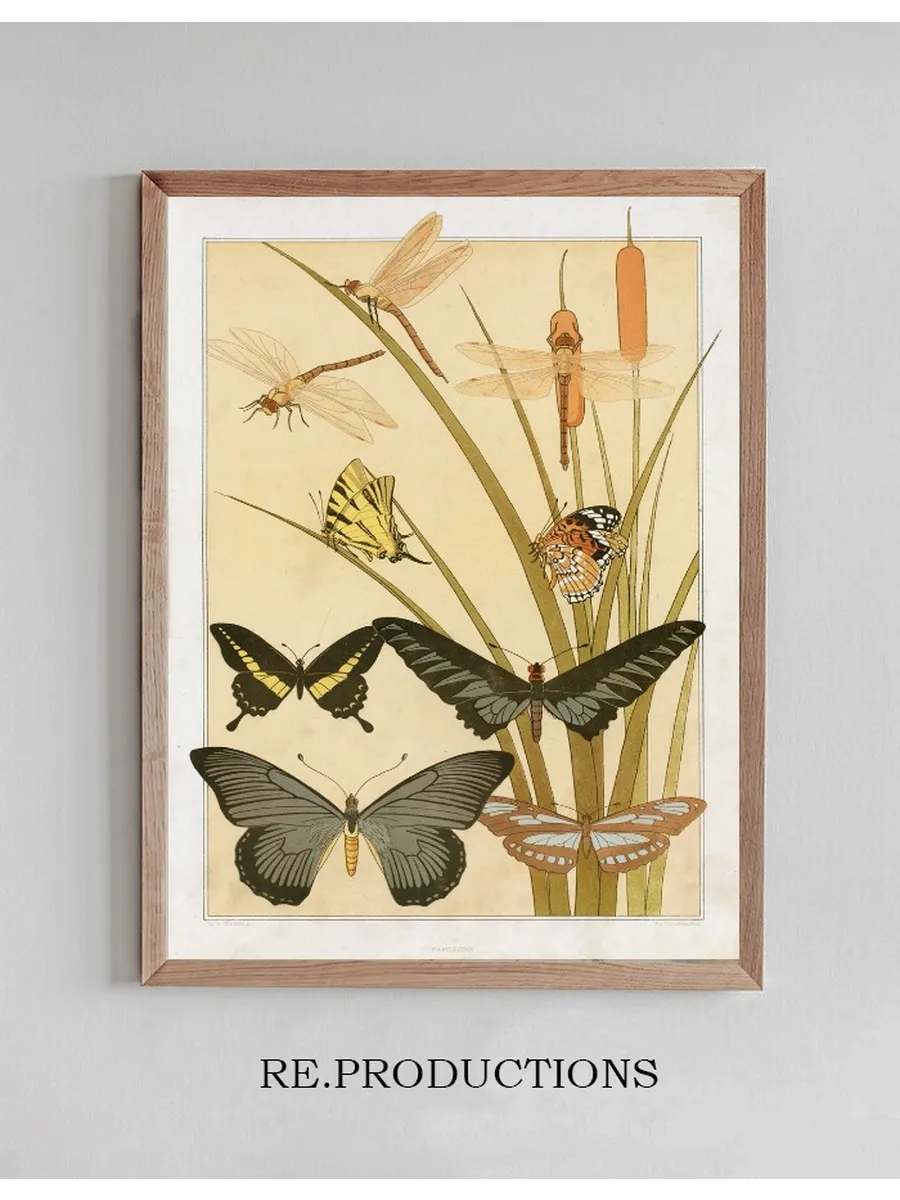 Papillons