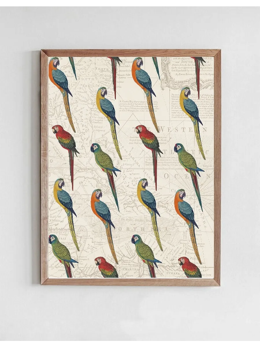 Parrot Paradise Step 01A