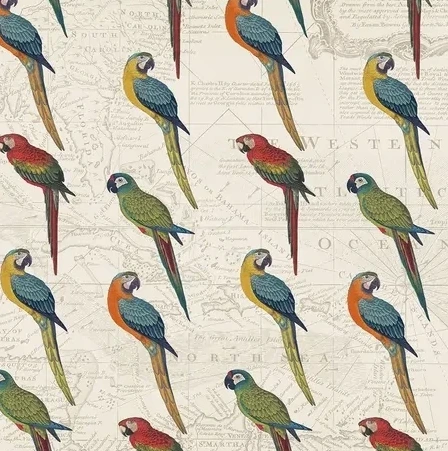 Parrot Paradise Step 01A