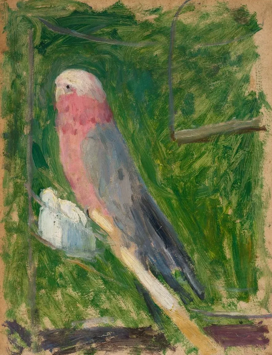 Parrot