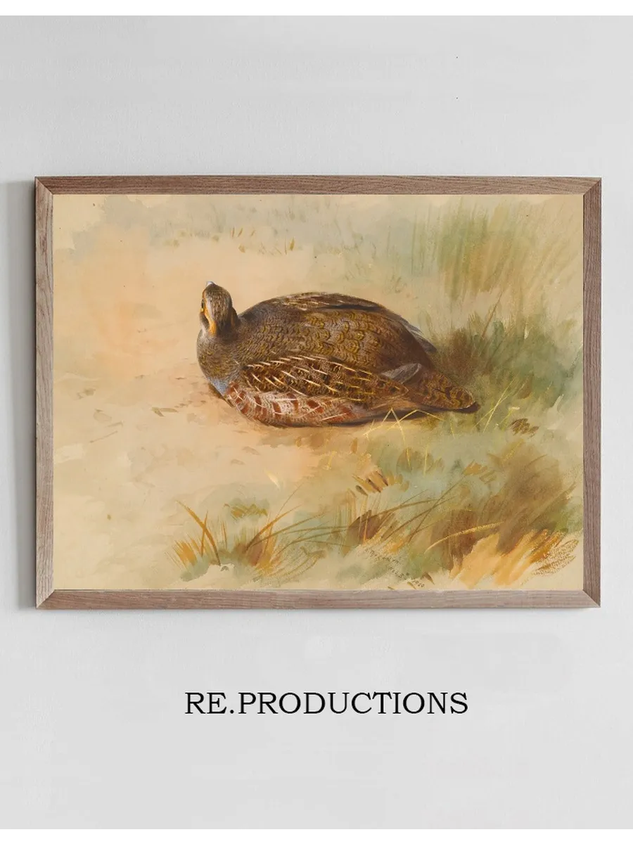 Partridge