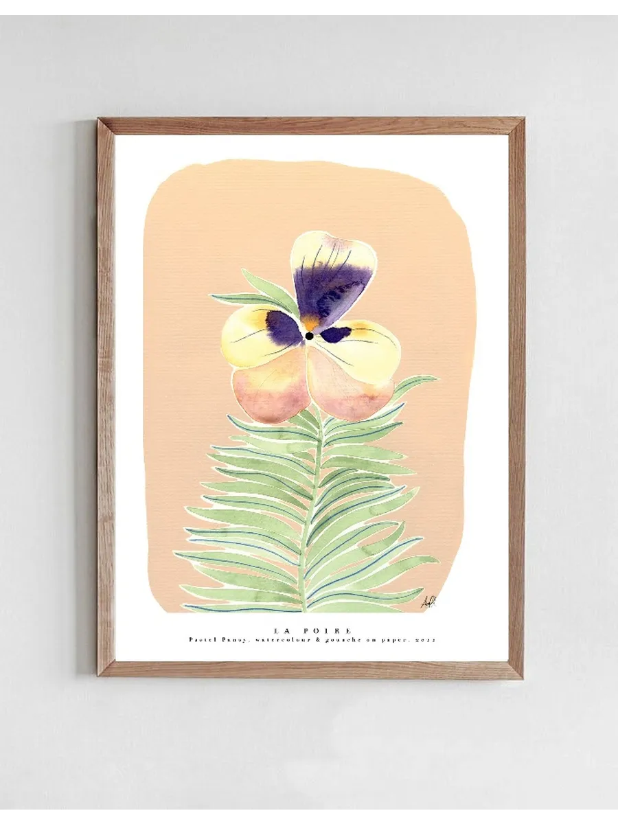 Pastel Pansy