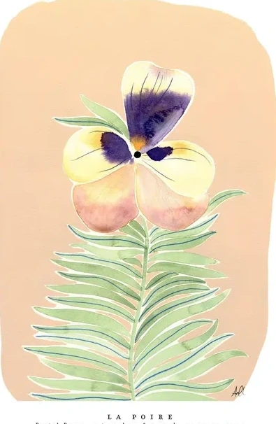 Pastel Pansy