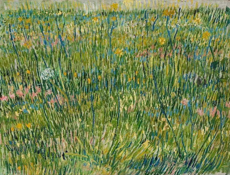 Patch of Grass