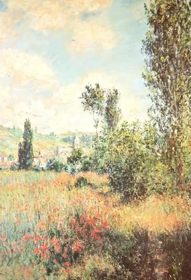 Path in the ile St Martin - Vetebuel