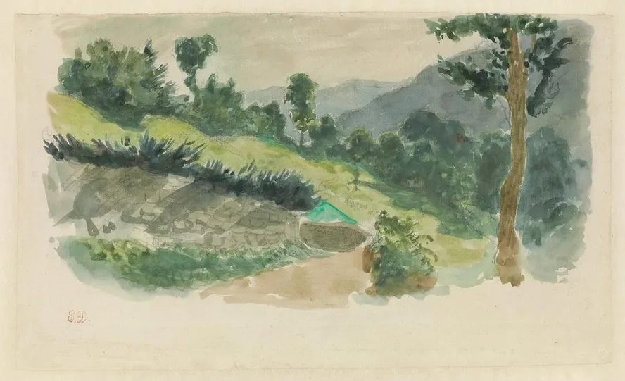 Path on the Side of a Mountain, Eaux - Bonnes, thePyr n es