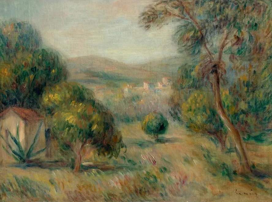 Paysage Aux Oliviers