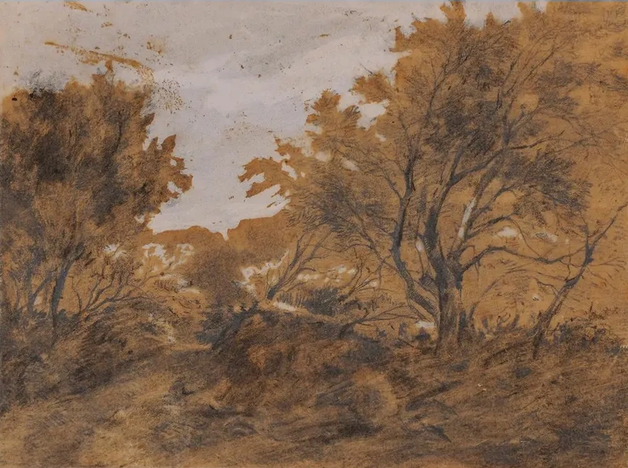 Paysage Bois, Coup de Vent
