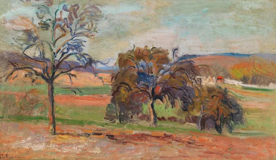 Paysage Bois