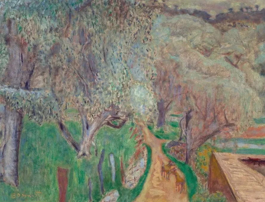 Paysage Clair Ou Oliviers Cagnes