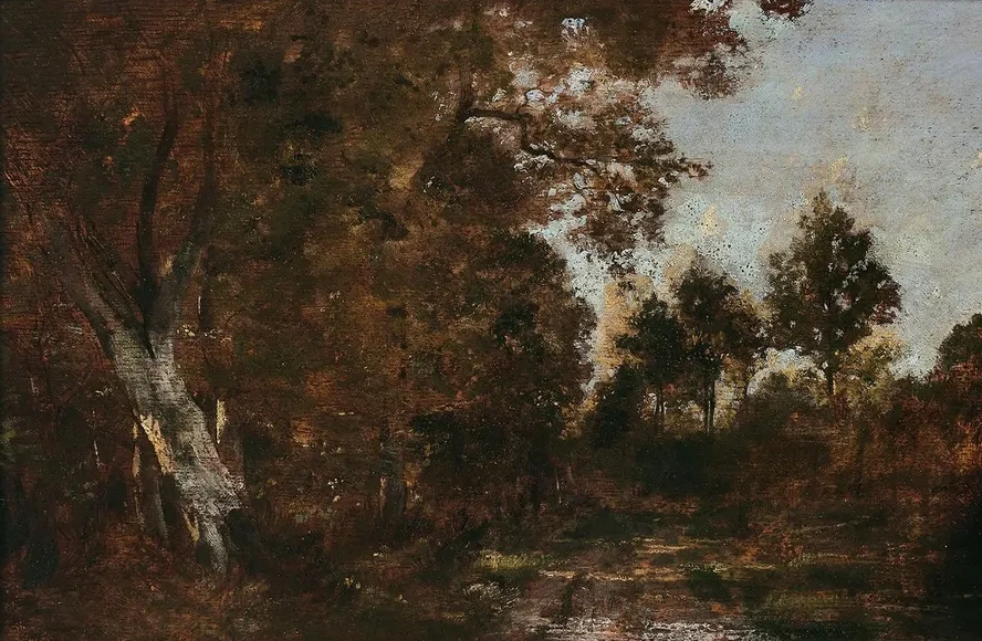 Paysage de Sous - Bois