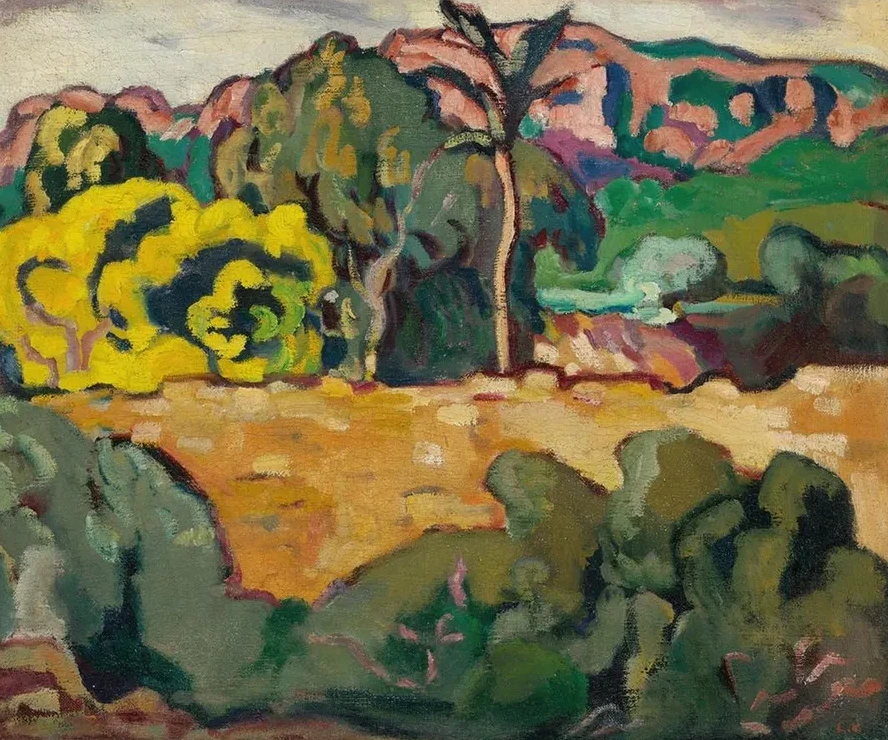 Paysage du MIDI Aux Palmier