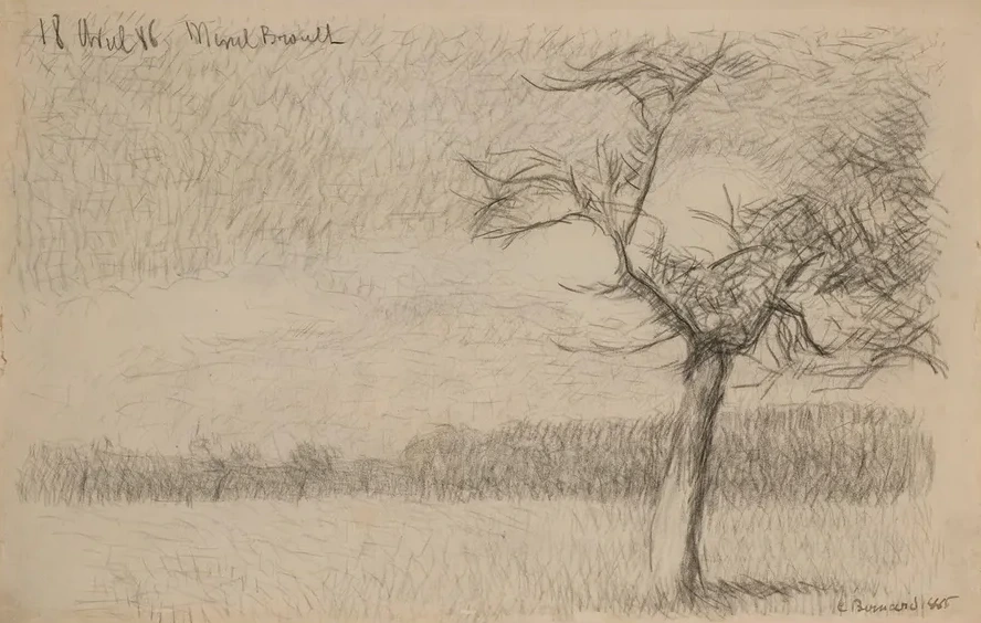 Paysage