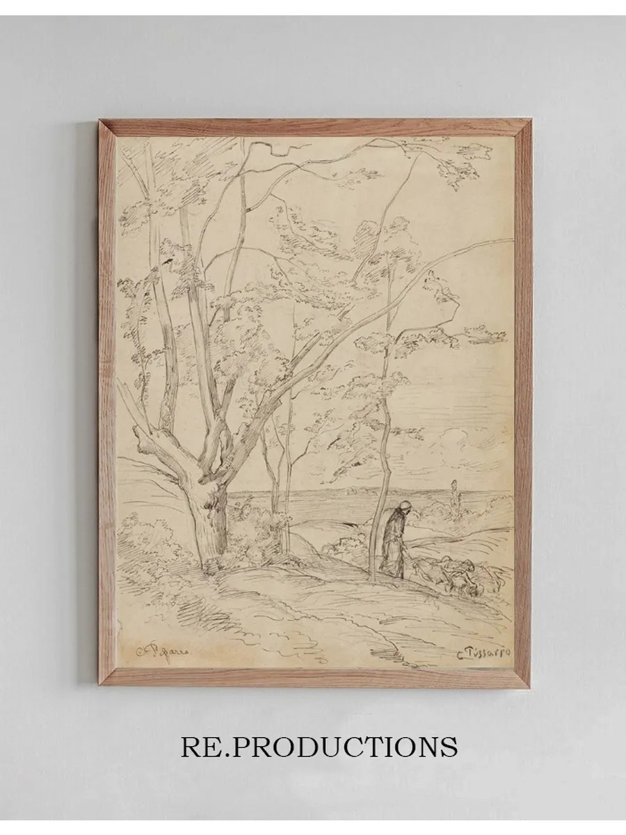 Paysage