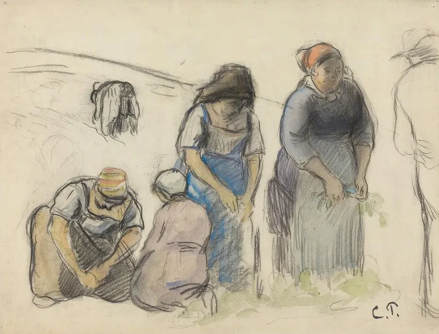 Pea Harvesters