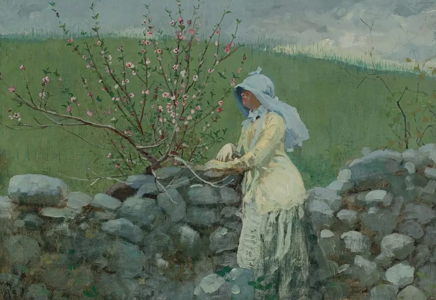 Peach Blossoms