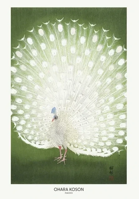 Peacock - Cropped