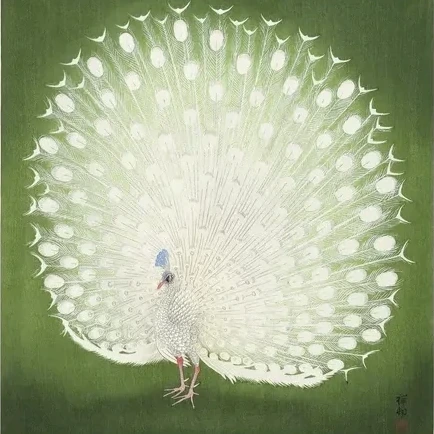 Peacock Square