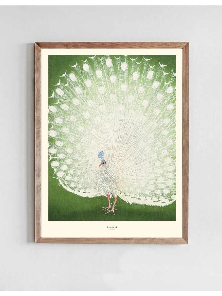 Peacock